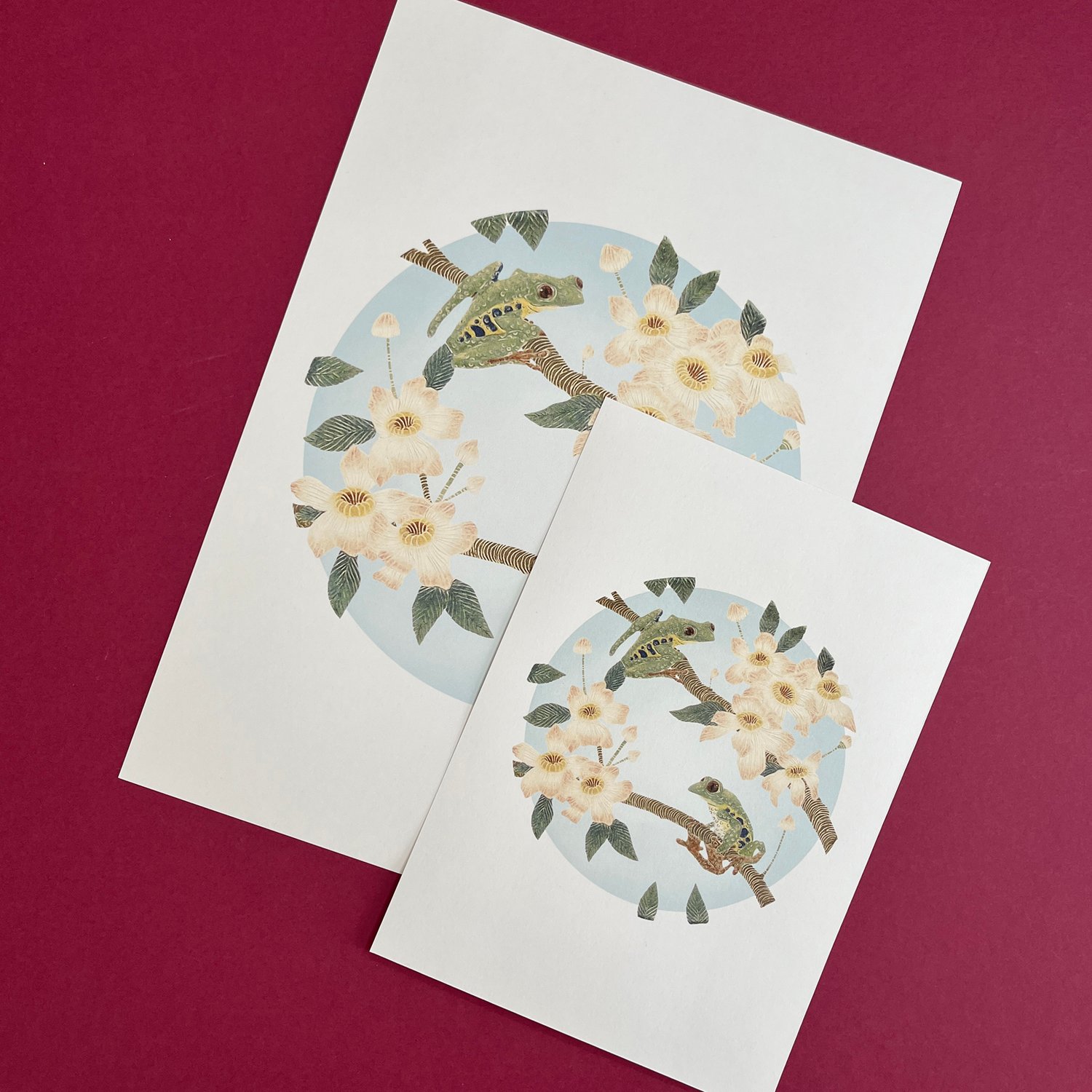 Image of Red eyed tree frog A4 & A5 prints