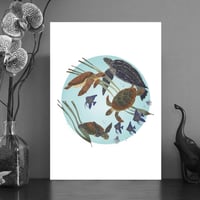 Image 1 of Swimming turtles A4 & A5 prints