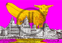 Image 2 of 'Attack Of the Lambanana' - Liverpool