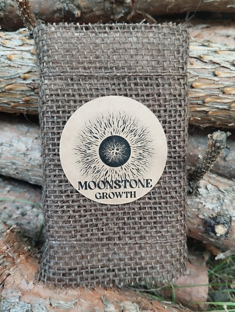 Image of MOONSTONE "GROWTH"