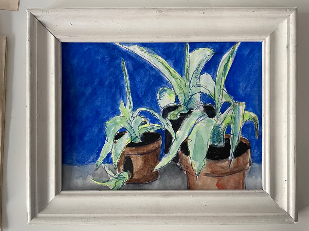 Image of Vályi Gábor - Virágcsendélet