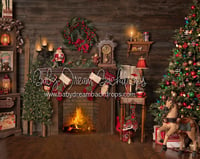 2023 Christmas Mini Session (retainer only)