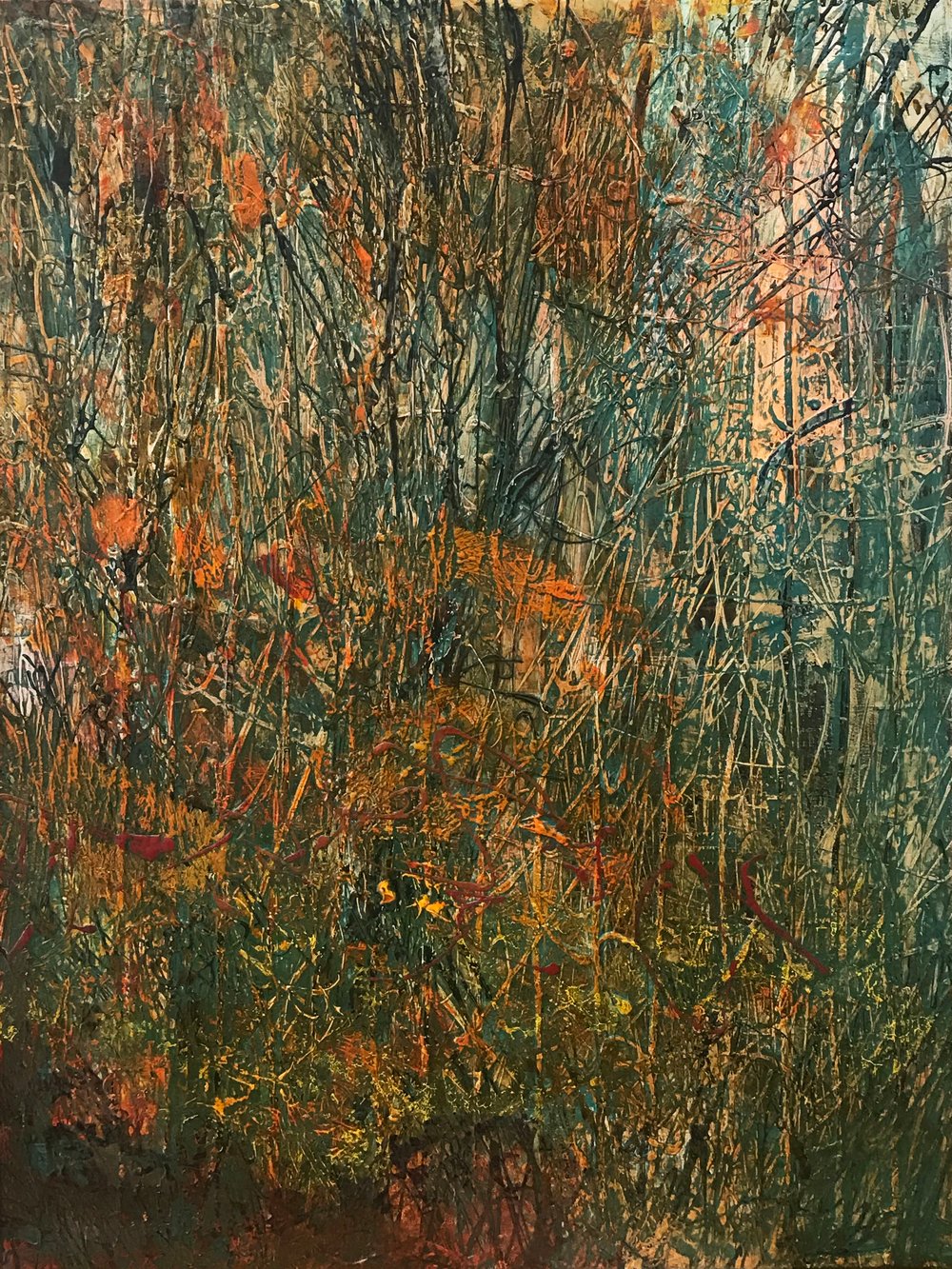 Image of Deep Woods