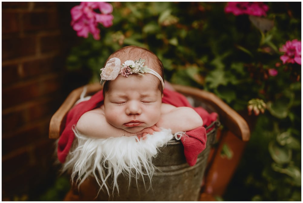 Image of BLACK FRIDAY SALE  Birth to year package