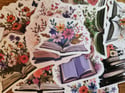 Floral Book Illustration Sticker Pack (15 Piece)