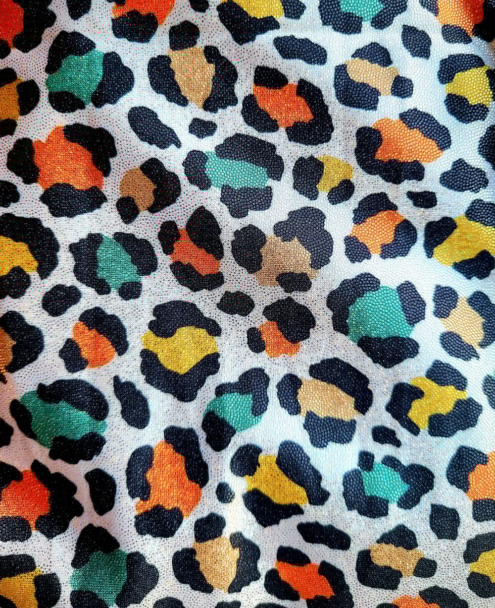 Image of Cheetah shimmer