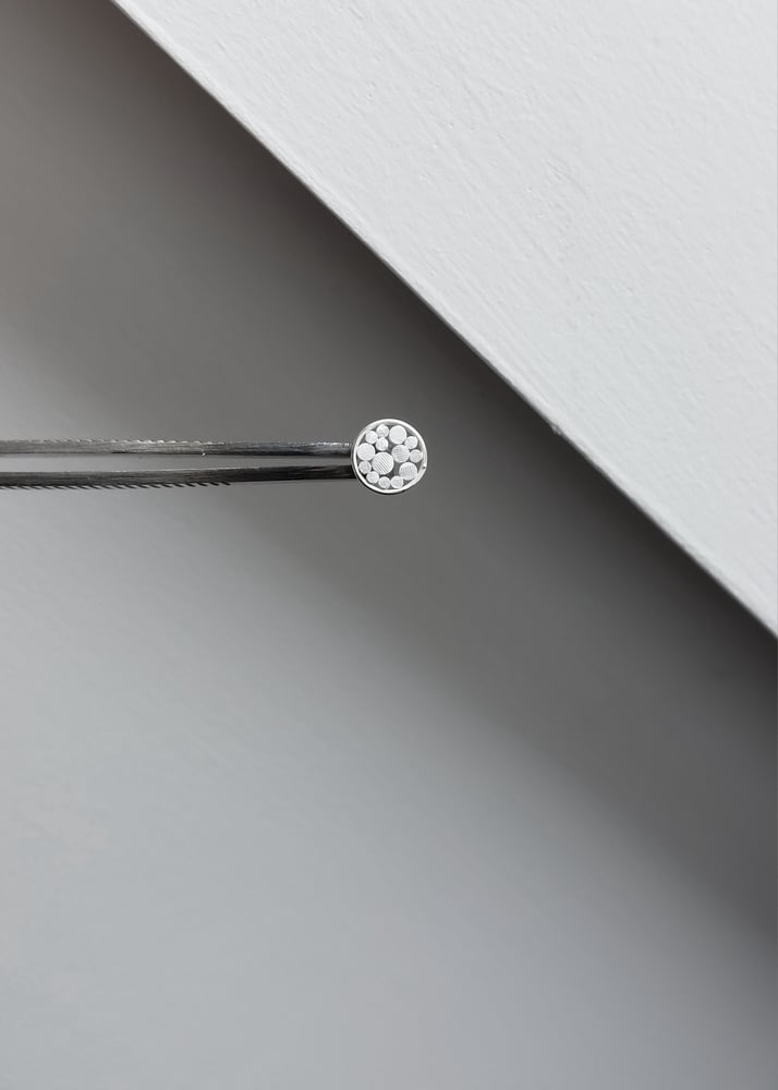 Image of Snowfall Frame Earstuds small 