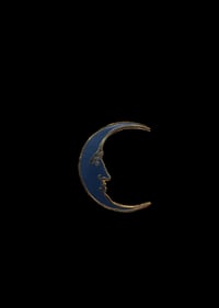 Moonlight Pin