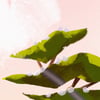 Waiting (Pre-order)