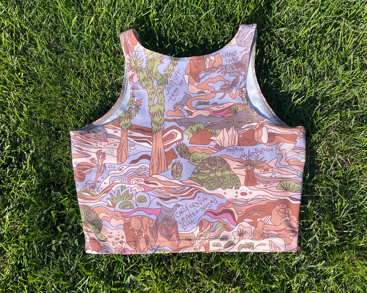 Image of Arches National Park Athletic Crop Top