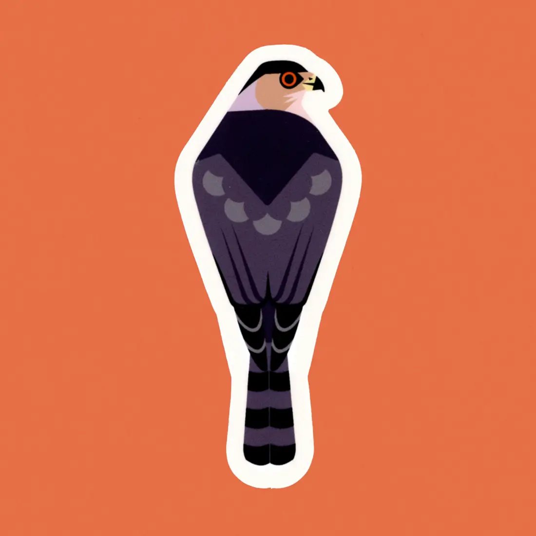 Pigeon Post Cooper’s Hawk Sticker