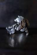 Anillo de plata y ámbar, Flujos de mágia