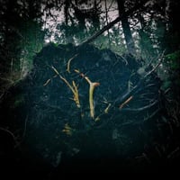 Aukels – Raynkaym 12″LP (swamp green)