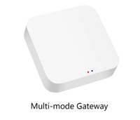 Multi-mode Gateway