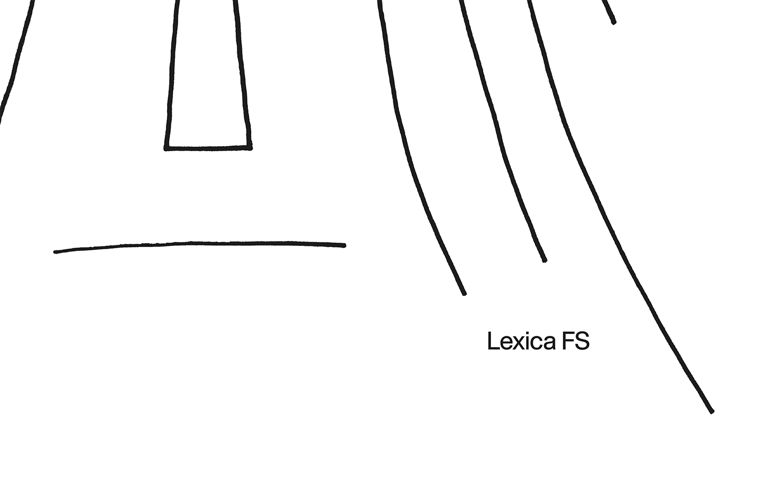 👀 Lexica FS – Youth Shirt 👀 Image 4