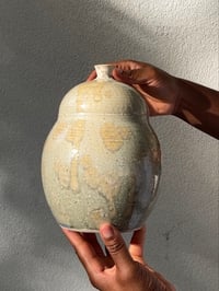 Image 1 of Poire