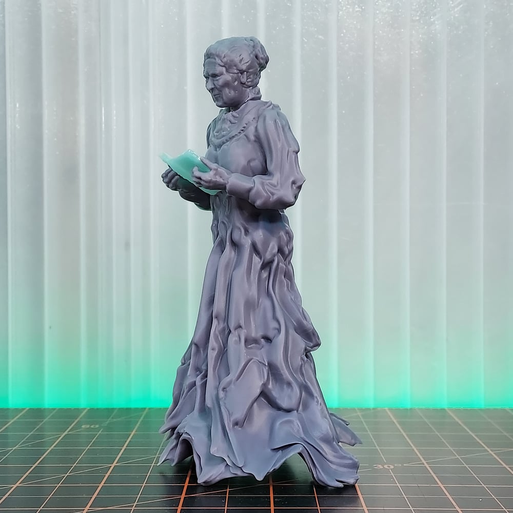 PROTOTYPE CLASS 10 LIBRARY LADY (BLUE BOOK)