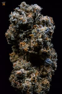 Image 2 of Reptar Zereal