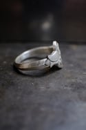 Anillo de plata, Flor oniríca