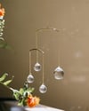 Atrapaluces Equilibrio