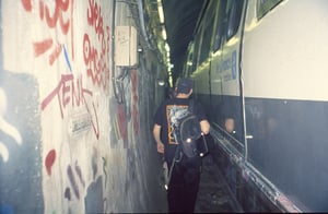 Image of PIGEON VERSUS RAT