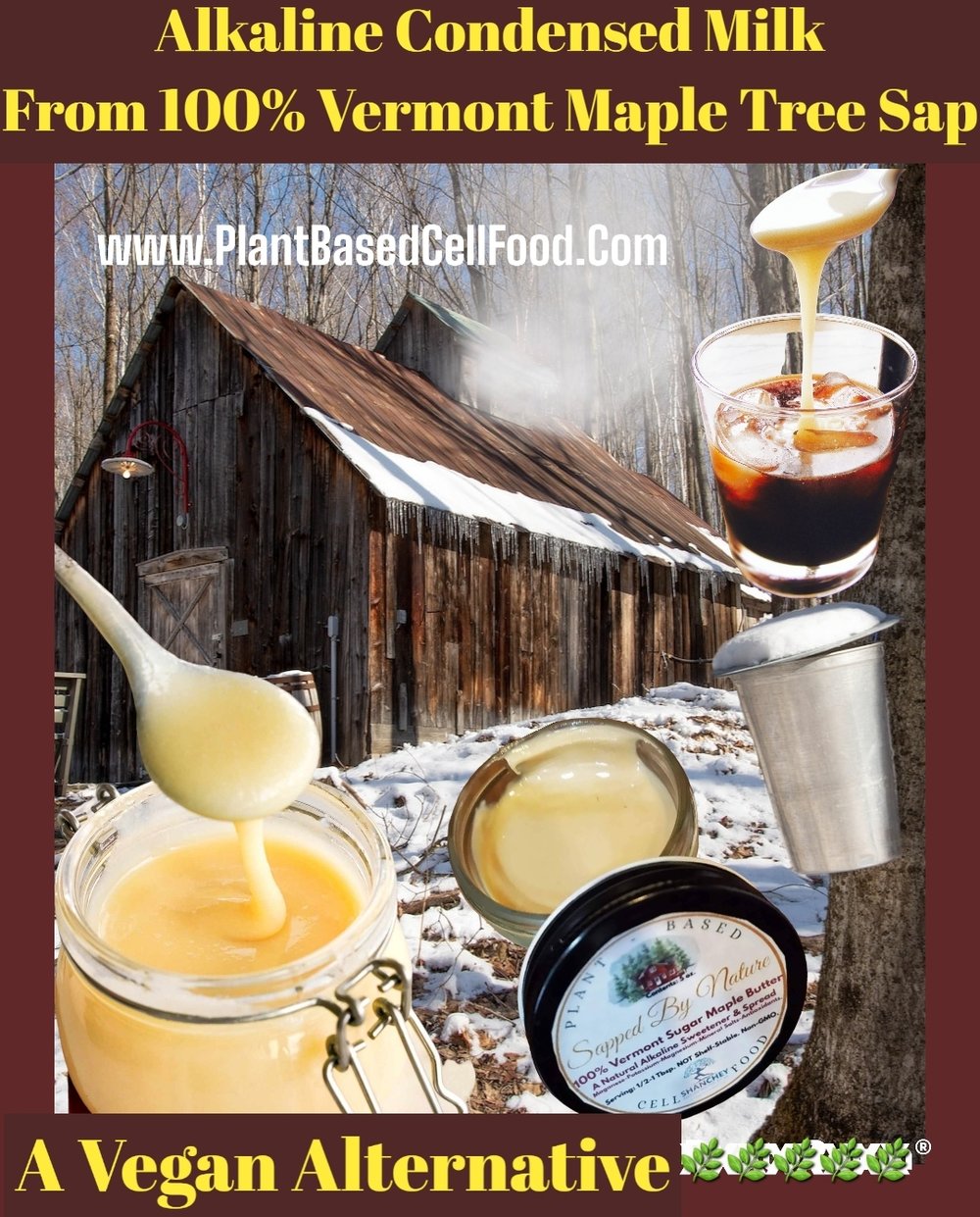 WILD SAPPED BY NATURE Maple Sugar/Cream/Syrup. Anxiety-Probiotic-Prostate-Anemia-Detox