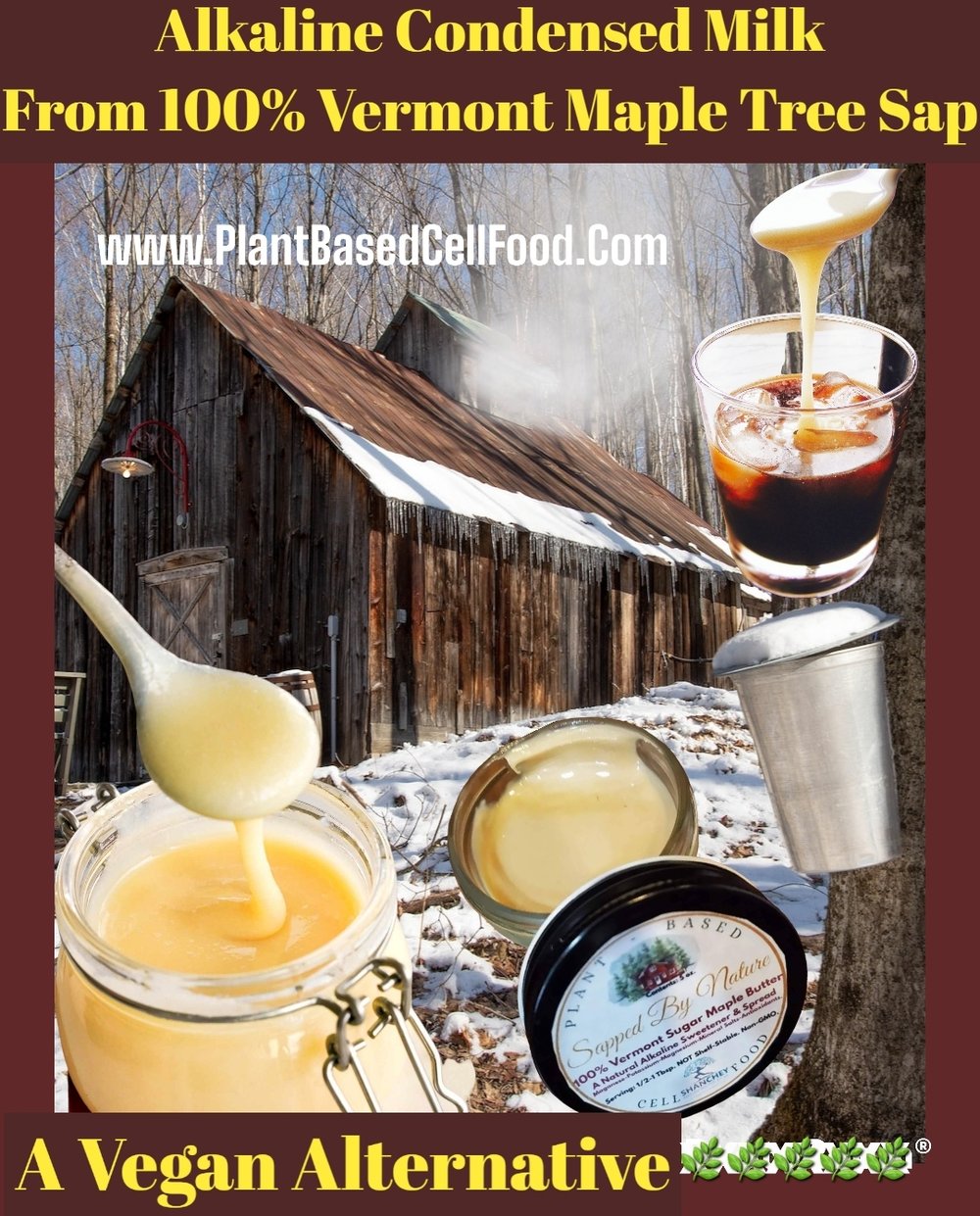 SAPPED BY NATURE Vermont Maple Sugar/Minnesota Maple Cream. Anxiety-Probiotic-Prostate-Anemia-Detox