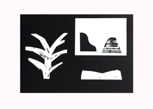 Noir et blanc 1