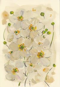 Japanese anemones no. 3