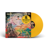 Image 1 of HIBUSHIBIRE ‘Magical Metamorphosis Third Eye’ Sunburst Yellow LP