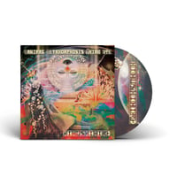 Image 1 of HIBUSHIBIRE ‘Magical Metamorphosis Third Eye’ Japanese CD