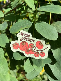 Image 1 of Home Grown Sticker