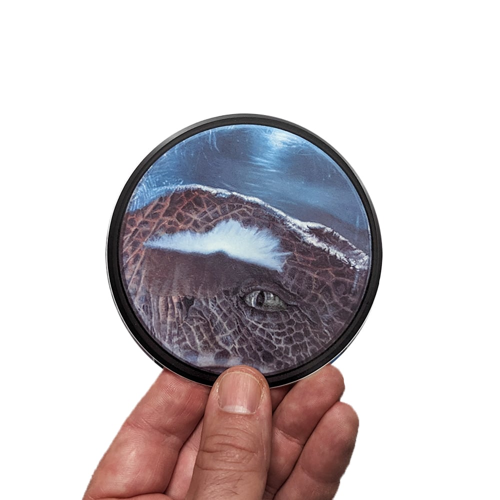 Image of CLEVER GIRL STICKER
