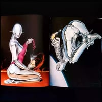 Image 4 of 'Sexy Robot' by Hajime Sorayama 