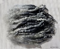 Image 2 of Storm Clouds BFL Long Locks Hand Selected 1.5 ounces
