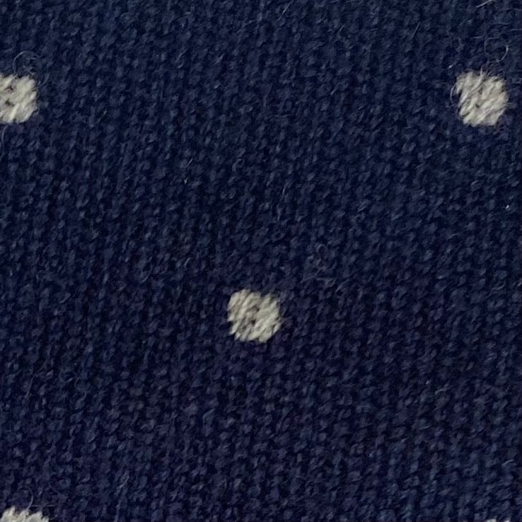Image of Blue & White Polka Dot
