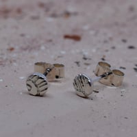 Image 1 of Plume studs 