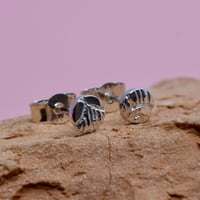 Image 3 of Plume studs 