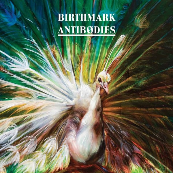 Image of Birthmark - Antibodies CD