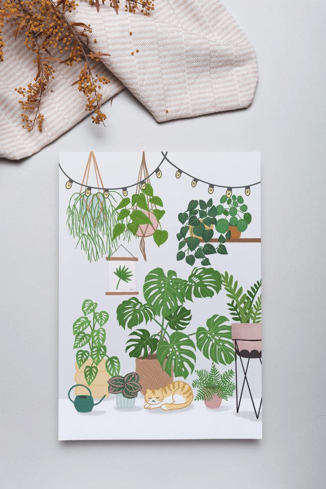 Plant Family
