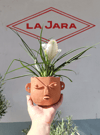 Cabeza Peru 