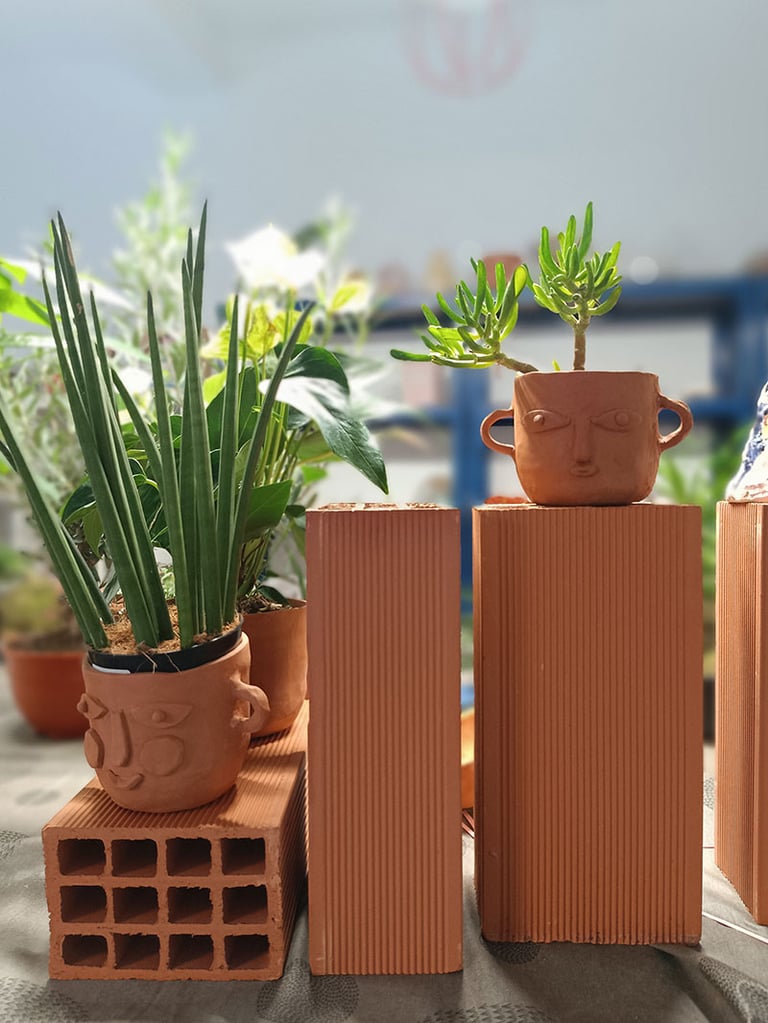 Cabeza Peru  Image 3