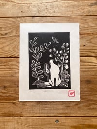 Image 1 of Cat & Beetle