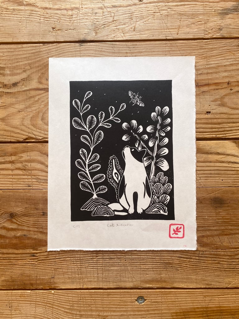 Cat & Beetle Image 2