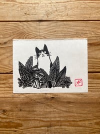 Image 1 of Curious cat