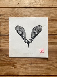 Image 1 of Sycamore seed