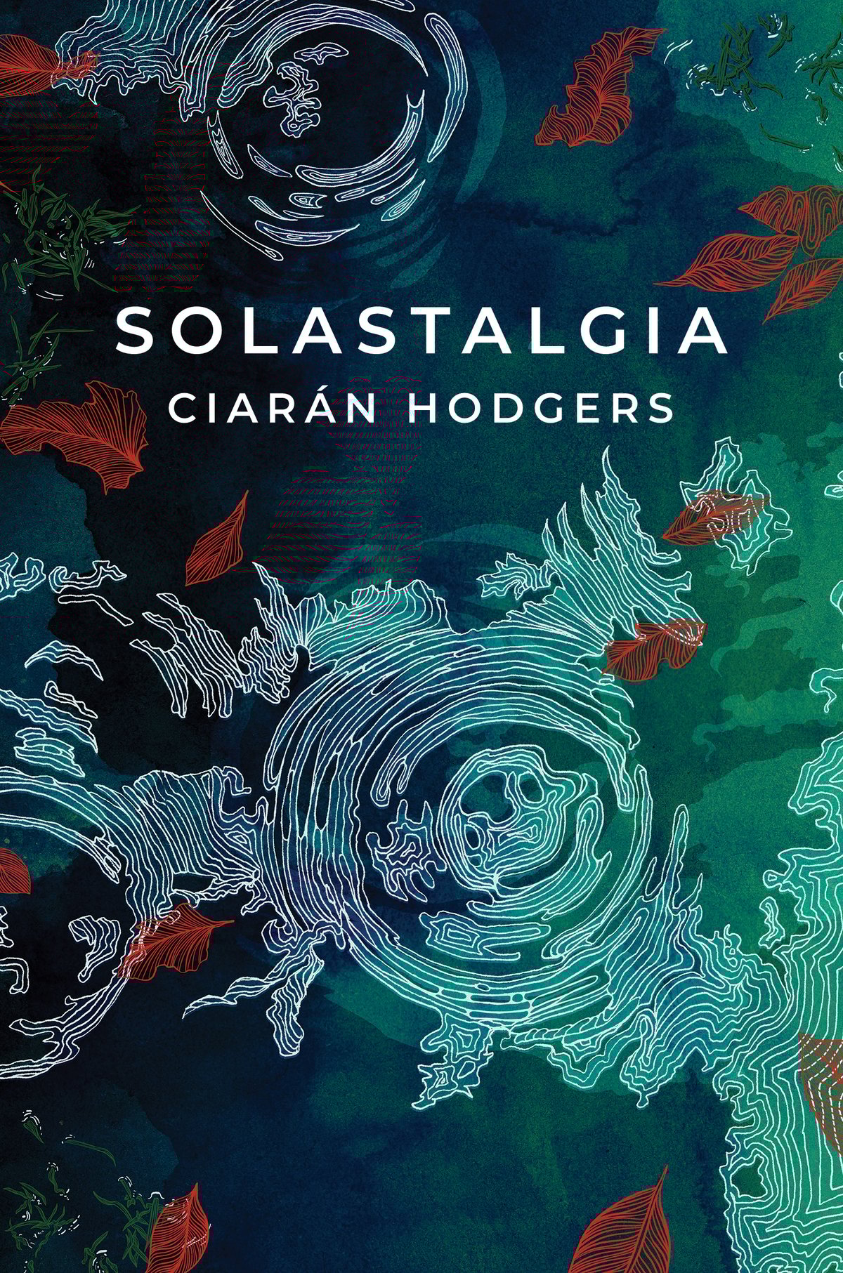 Image of Solastalgia - by Ciarán Hodgers