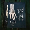 Cyanotype VII