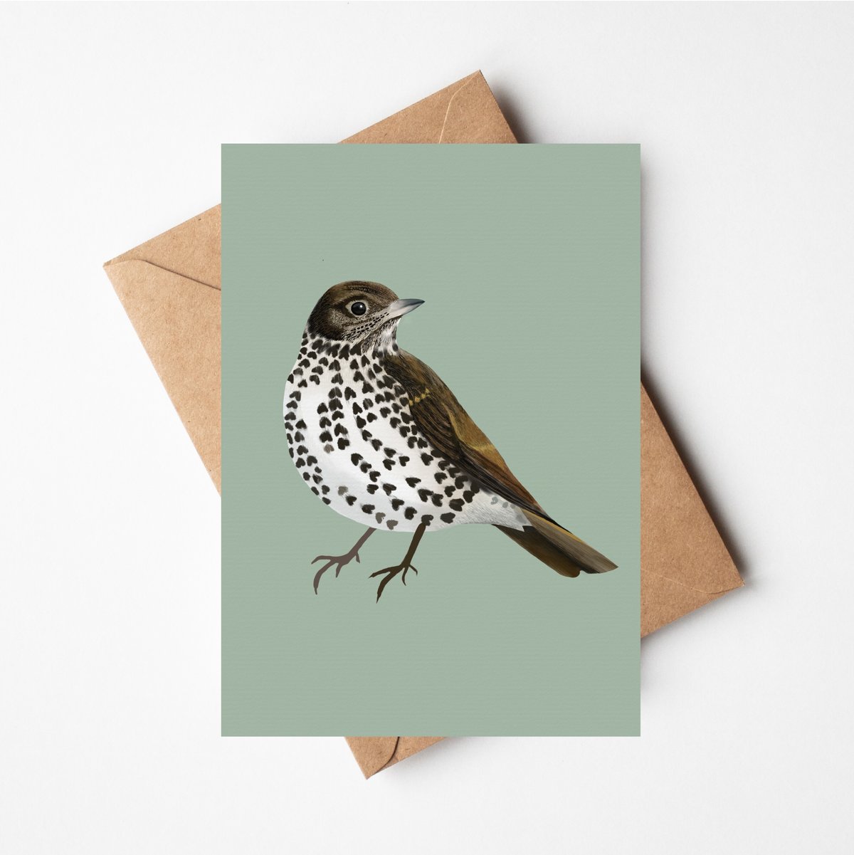 Song Thrush Print & Cards