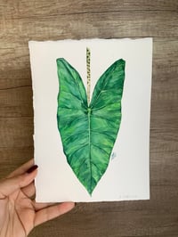 Image 2 of Alocasia Zebrina Original Artwork